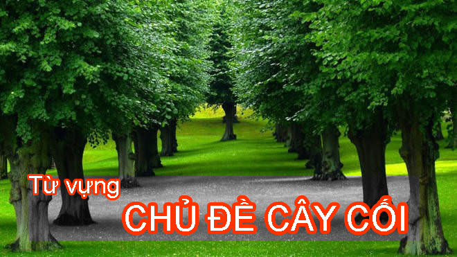 Từ vựng chủ đề cây cối