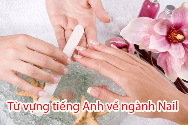 Từ vựng tiếng Anh về ngành Nail