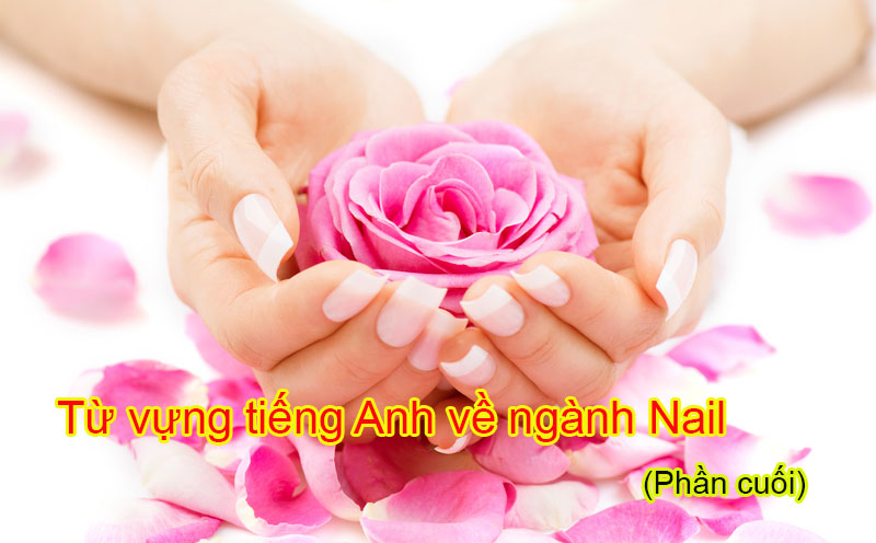 Từ vựng tiếng Anh về ngành Nail